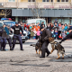 Cum va fi marcată Ziua Poliției Române în Baia Mare