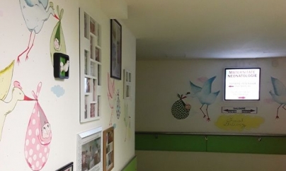 23 de copii au venit pe lume la Spitalul Județean din Vinerea Mare până în a doua zi de Paști