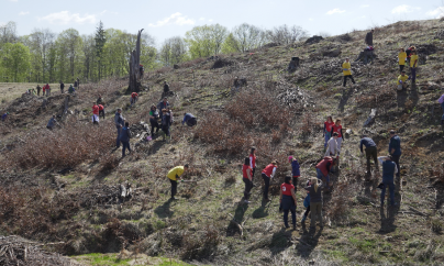 Întreprindem împreună, plantăm împreună (GALERIE FOTO)