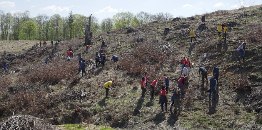 Întreprindem împreună, plantăm împreună (GALERIE FOTO)