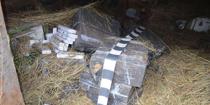 Țigări abandonate de nevoie, dar parcă și de voie, țigări descoperite de câini într-un TIR cu lemne