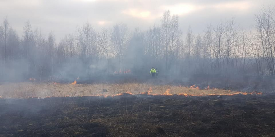 Nicio zi fără incendii de vegetație