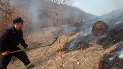 250 de hectare de vegetație uscată au ars în județ, în ultima lună