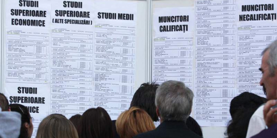 293 de locuri de muncă oferite prin AJOFM Maramureș