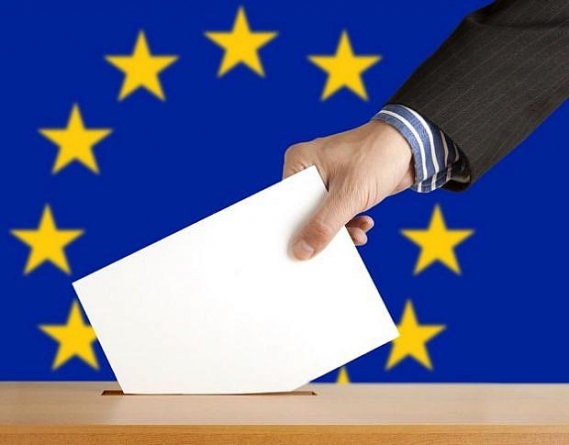 Detalii privind alegerile europarlamentare și referendumul