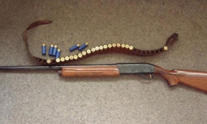 La Seini, arme din Austria pentru care nu exista autorizație de România