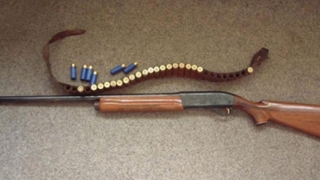 La Seini, arme din Austria pentru care nu exista autorizație de România