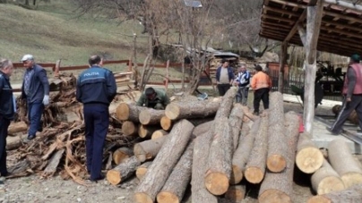 Amenzi și confiscări de material lemnos