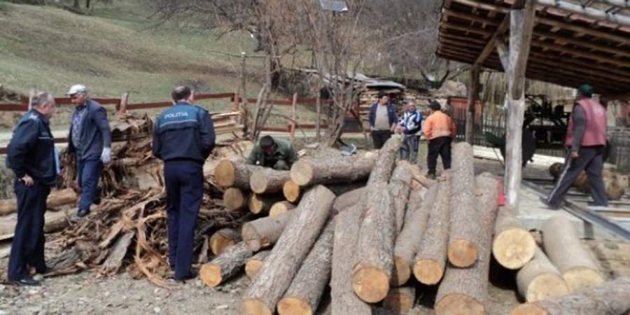 Acţiune silvică de amploare: S-a lăsat cu amenzi uriașe și lemne confiscate