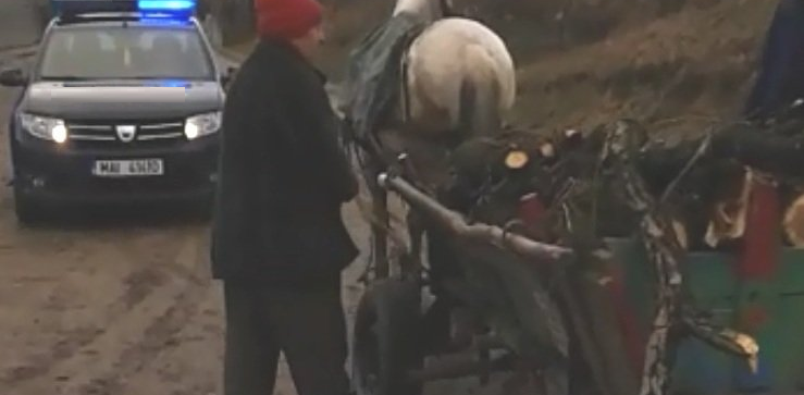 Alte lovituri date mafiei lemnului: au fost confiscați vreo 10 mc de lemne de la patru persoane