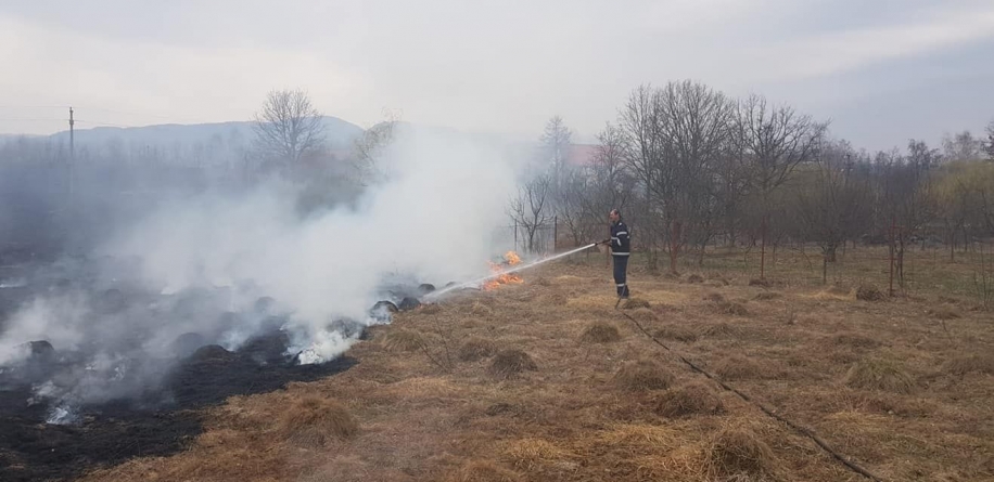 20 hectare de vegetație uscată, mistuită de flăcări în cinci localități