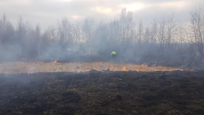 Incendiu de vegetație uscată în Ocna Șugatag (GALERIE FOTO)