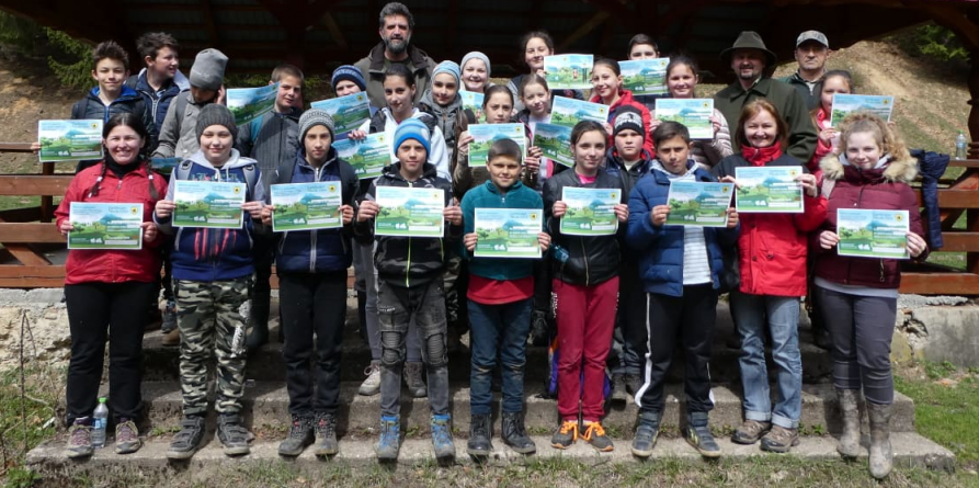 Elevi de la Școala Gimnazială Lăpuș au plantat puieți la Poiana Botizii (GALERIE FOTO)