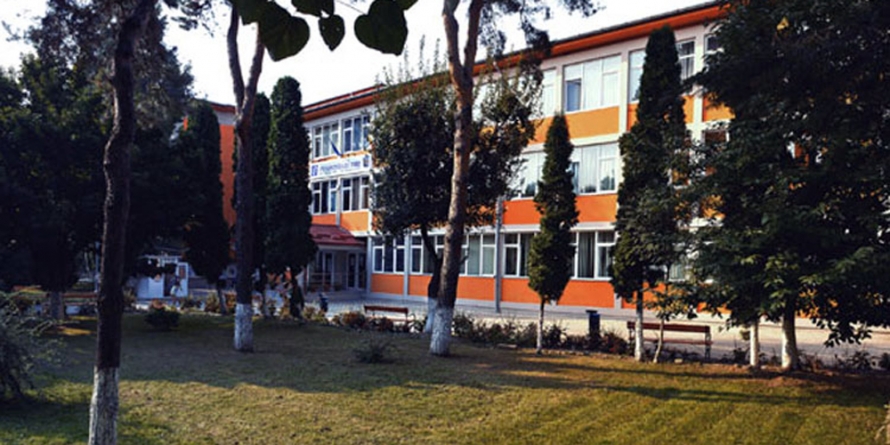 Facultatea de Litere  Baia Mare vrea să salveze o casă tradițională și s-o amplaseze în curtea instituției