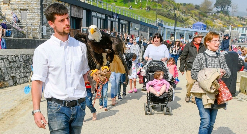 La nevoie te faci frate cu vulturul până treci de pescăruși
