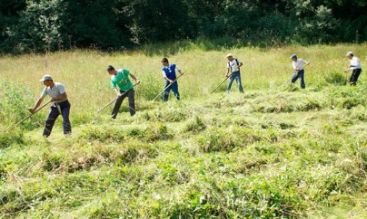 Încă nouă activități și domenii în care pot fi angajați zilieri
