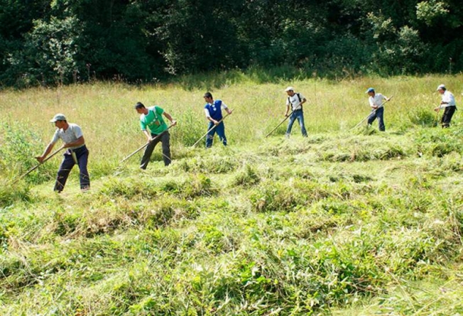 Încă nouă activități și domenii în care pot fi angajați zilieri