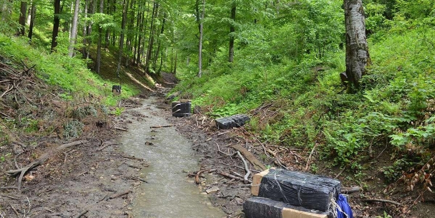 Capturi la Granița UE, în cinstea alegerilor europene