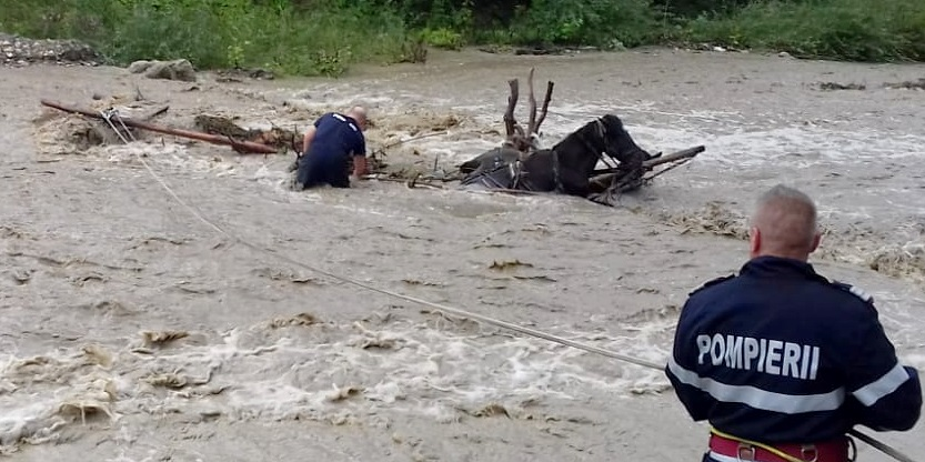 La Săcel, prima victimă a viiturilor: un bărbat de 63 de ani