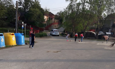 Ecologizare în Satu Nou de Jos