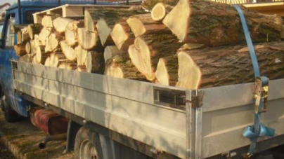 Un maramureșean de 76 de ani a fost prins transportând ilegal material lemnos