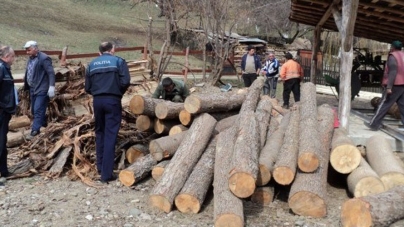 Controale care s-au lăsat cu amenzi în valoare de 26.000 de lei și lemne confiscate