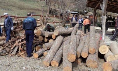 Lemn confiscat de la agenţi economici de profil, care au fost şi amendaţi