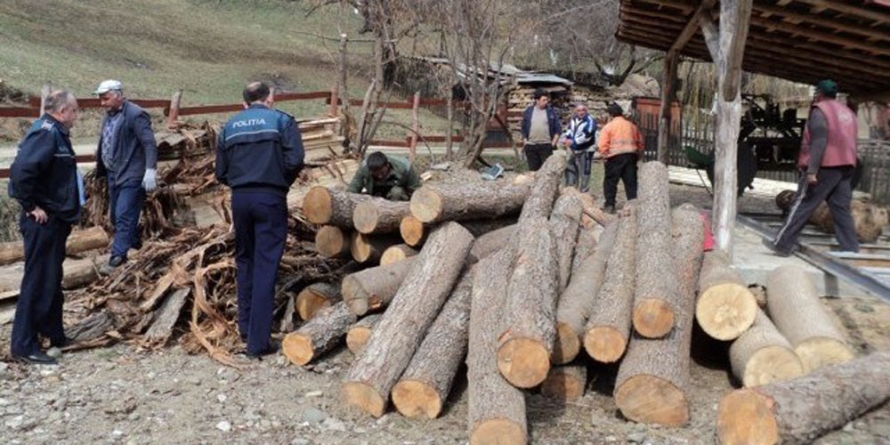 Amenzi plus lemne confiscate