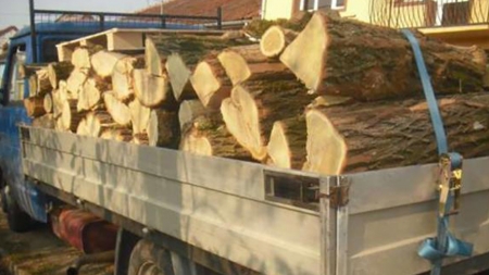 Lemne confiscate din cauză că aveau aviz de însoțire