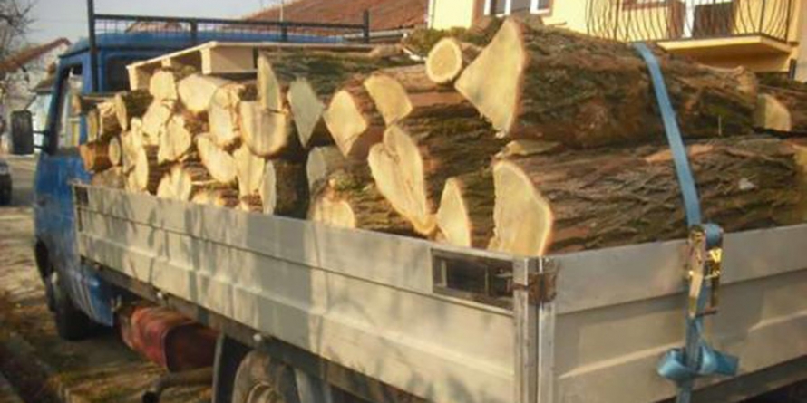Lemne confiscate din cauză că aveau aviz de însoțire