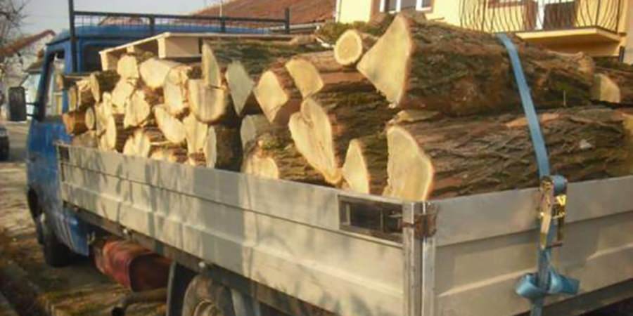 În Maramureș: Peste 200 de autovehicule verificate de poliţişti în cadrul unei alte acţiuni pentru combaterea delictelor silvice