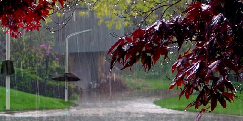 Vreme supărată de mai cu zăpadă pe Gutâi și Cavnic