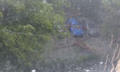 ISU: pagube produse de vijelii în Maramureș