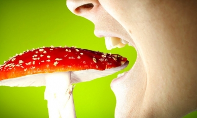 La start de iunie, o medie zilnică de aproape trei intoxicați cu ciuperci