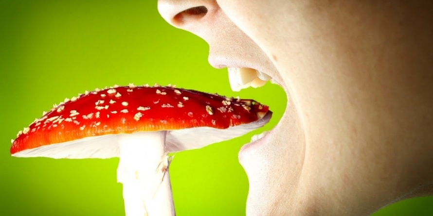 La start de iunie, o medie zilnică de aproape trei intoxicați cu ciuperci