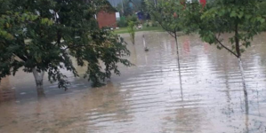 Rupere de nori: Gospodării inundate în satul Lăpușel. A plouat cu găleata în mai multe zone din județ (GALERIE VIDEO)