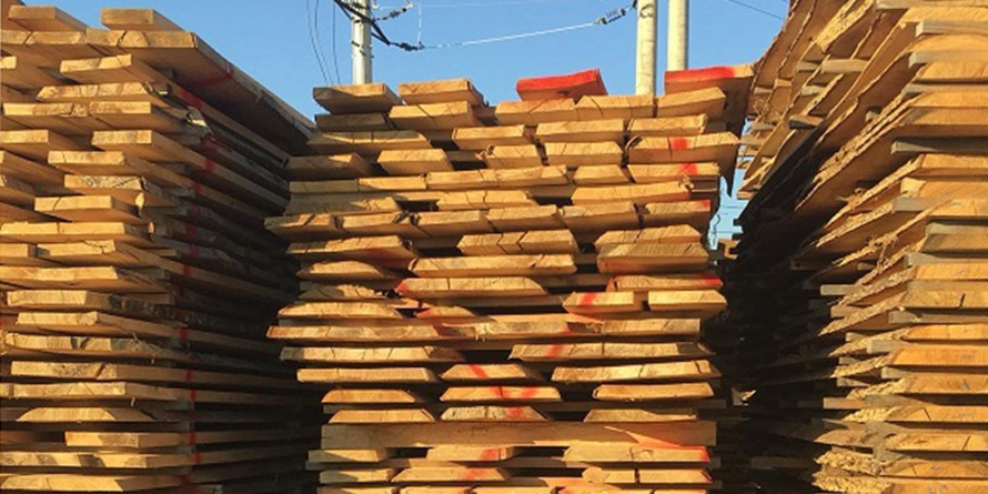 170 mc de material lemnos a fost confiscat la Seini