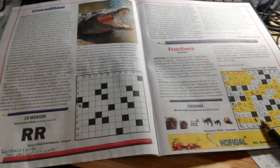 De luat aminte: rebusul întinerește mintea cu 8-10 ani