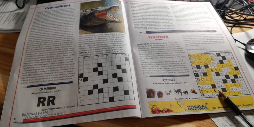 De luat aminte: rebusul întinerește mintea cu 8-10 ani