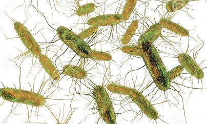 O grădiniță privată are în continuare activitatea suspendată pe motiv de salmonella