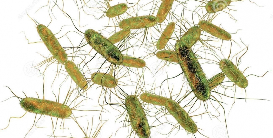 O grădiniță privată are în continuare activitatea suspendată pe motiv de salmonella