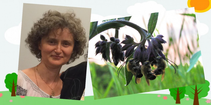 “Apiterapia altfel” – predată la Școala de Sănătate Melidava