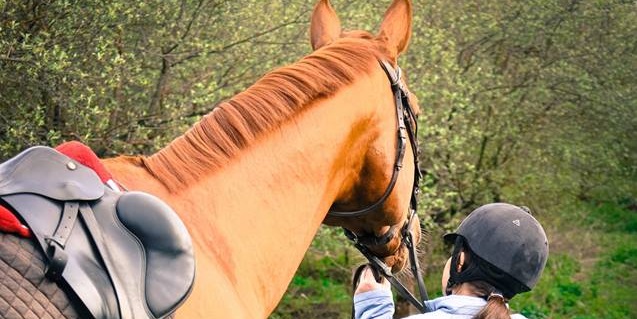 ”La trap” – o tabără pentru copii și cai