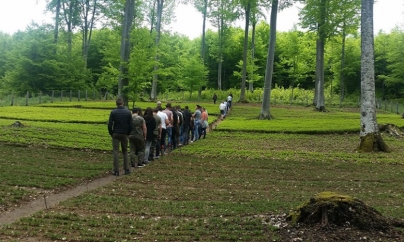 Ziua Porților Deschise la Direcția Silvică Maramureș