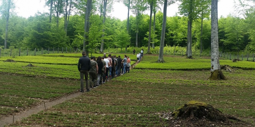 Ziua Porților Deschise la Direcția Silvică Maramureș