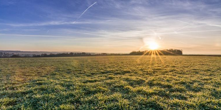 Noutăți pentru fermierii constituiți în diverse forme asociative, beneficiari de finanțări pentru investiții rurale