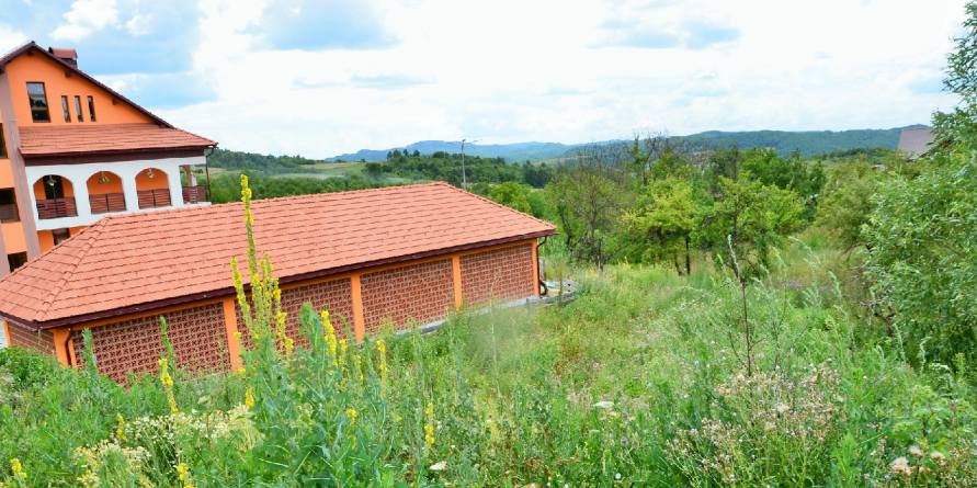 Alunecările de teren pun în pericol Centrul Social pentru Persoane Vârstnice din  Coroieni