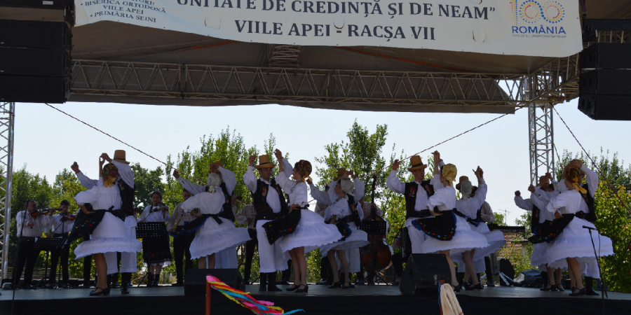 Întâlnirea fiilor satului Viile Apei (GALERIE FOTO)