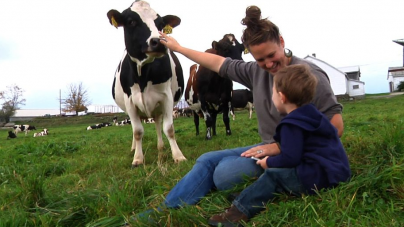 ”Sprijin pentru dezvoltarea  fermelor mici”. Prima sesiune din 2019 pentru depunerea cererilor de finanțare începe în 22 iulie