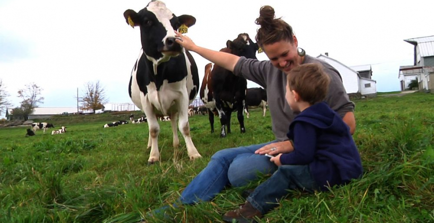 ”Sprijin pentru dezvoltarea  fermelor mici”. Prima sesiune din 2019 pentru depunerea cererilor de finanțare începe în 22 iulie